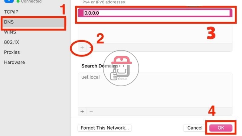 Chọn DNS, nhấn vào (+) Nhập địa chỉ IP Nhấn OK