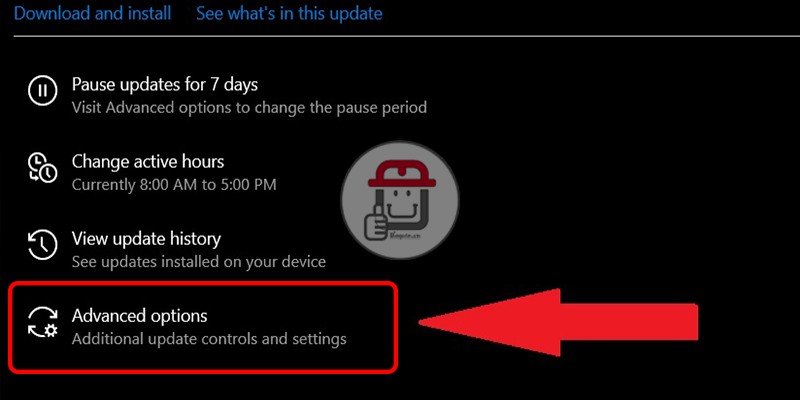 Tắt một số tùy chọn của Windows Update