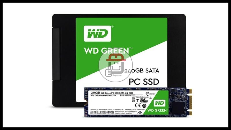 Ổ cứng SSD Western Digital